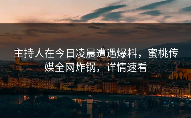 主持人在今日凌晨遭遇爆料,蜜桃传媒全网炸锅,详情速看 主持人在今日凌晨遭遇爆料,蜜桃传媒全网炸锅,详情速看