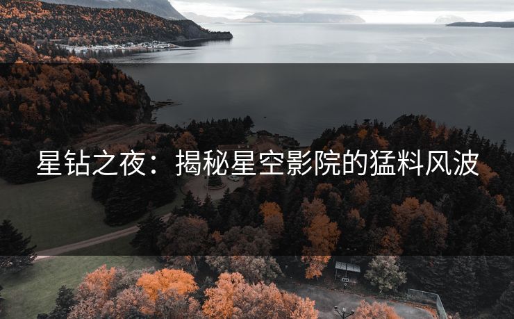 星钻之夜：揭秘星空影院的猛料风波