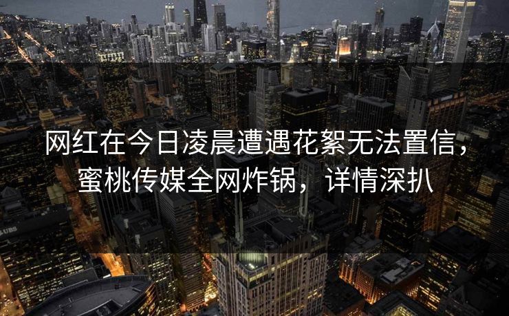 网红在今日凌晨遭遇花絮无法置信,蜜桃传媒全网炸锅,详情深扒 网红在今日凌晨遭遇花絮无法置信,蜜桃传媒全网炸锅,详情深扒