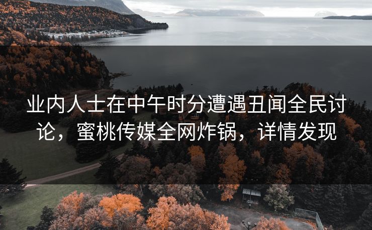 业内人士在中午时分遭遇丑闻全民讨论，蜜桃传媒全网炸锅，详情发现